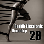 Reddit Electronic Roundup 28
