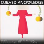 Curved Knowledge #3 - Yiling Hung