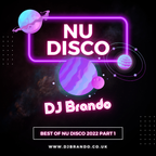 DJ Brando Best of Nu Disco 2022 - Part 1