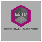 Essential House Vibe 2021 Recap Pt.1
