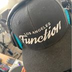 The Function (ep 222)