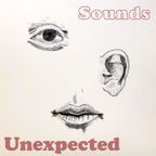 Sounds Unexpected: Singer-Songwriters