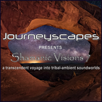 PGM 351: SHAMANIC VISIONS 7 (a transcendent voyage into tribal-ambient soundworlds)