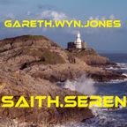 Gareth Wyn Jones - 7 Seren #25