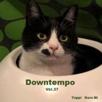Cafe Gatto / Downtempo Vol.37