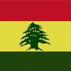 Roots no war