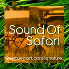 Sound Of Safari / Cris Arcas Part1 /  June 2014 /