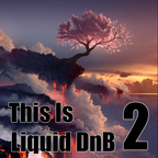 This is Liquid DnB 2