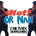 DJ Darryl Presents…… Hot? Or Nah? 'The Mix'! Vol. 12 (Explicit)