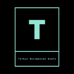 Techno Recommends Radio 313 - Max Kane