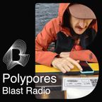 Polypores Mix For Blast Radio - 31/03/22