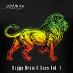Ragga Drum & Bass Volume 5