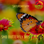 SMB Butterfly - Bit N Pieces #6