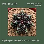 Hydrogen Jukebox w/ DJ Joules - Aug 14th 2023
