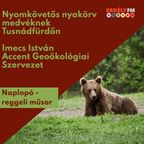Imecs István - Medvekérdés - Naplopó - 2023.09.20