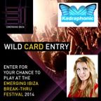 Emerging Ibiza 2014 DJ Competition - Kadraphonic