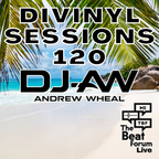 Divinyl Sessions 120 - Deep Progressive House And Electro