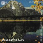 Sounds of the Dawn - 13th October 2018