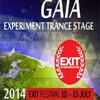 Manda mixing at Gaia eXperiment Trance stage - Exit Festival - 2014