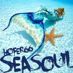 hofer66 - seasoul - live at seasoul beach ibiza - 170722