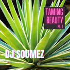 TAMING BEAUTY pt. I - {check Description for DL-Link}