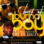BEST OF BURNA BOY MIX (DJ DALEY)