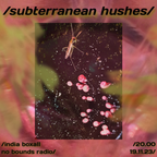 /subterranean hushes/ - India 19.11.23