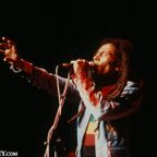 Bob Marley and the Wailers - Madison Square Garden, NYC 9-20-1980 Definitive Source
