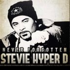 In Memory of Stevie Hyper D - Papa G