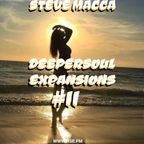 STEVE MACCA'S DEEPERSOUL EXPANSIONS 11