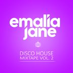 Disco House Mix (Vol. 2)