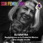 T06E14: "Neofeminismo en la Ciudad de México: Una mirada situada"