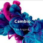 Angaro - Cambio