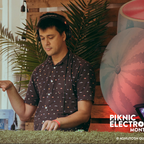 Piknic Electronik 2019
