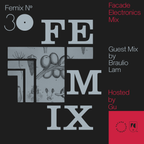 FEMIX — 30 Guest Mix by Braulio Lam