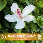 Kanikapila Sunday, with Kealiʻiloma, September 24, 2023