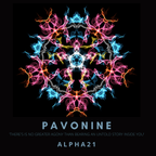 PAVONINE - AEP26