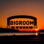 BIGROOM MUSIC REVEALED 2024 RECORDS DJ_JAVIMIXES