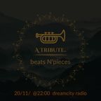 beats N'pieces  / A Tribute.. / aired on 20-11-22