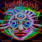 Buddhafish - The Quantum Shaman Ep. 3 (Vinyasa Groove Mix)
