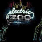 Afrojack - Live at the Electric Zoo NY 04-09-2011