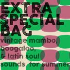 EXTRA SPECIAL BAG : vintage boogaloo, mambo, & Latin soul sounds for summer