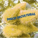 Disco Escultural| October 27, 2019