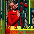 Northern Angel - J'ai Envie De Toi [ #progressive #trance]