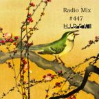 Radio Mix #447