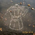 Dom #19 / Cynamon, czosnek, sól, pieprz, chleb, curry (7/12/2020)