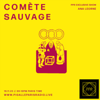 PPR1066 Comète Sauvage #60 - Ana Leorne