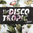 Discotropic mix by Jankev (Mai - mix #30)
