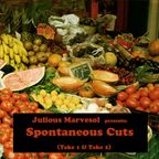 (EGAMIMIX002) V.A. - Julious Marvesol presents… - Spontaneous Cuts, Take1 - 2010