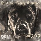 A Few Tunes with Black Dog Radio #293